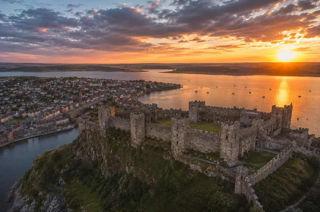 Pembroke coverage